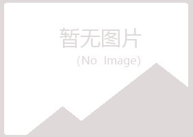 日照岚山冰夏会计有限公司